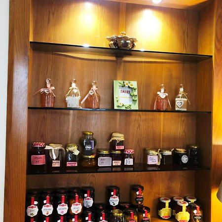 ［エクサルヒア］アパートメント（80m²）｜ 3ベッドルーム／1バスルーム アテネ エクステリア 写真